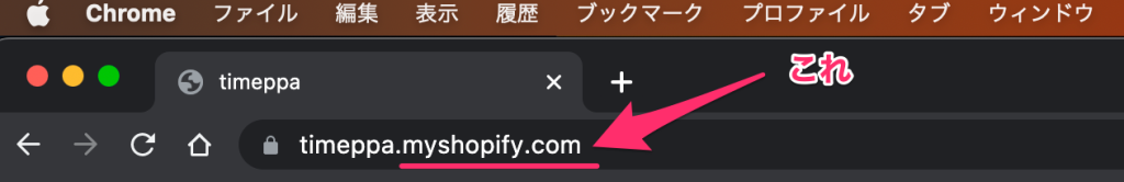 Shopifyの初期のドメインの説明画面